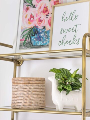 Over the toilet storage ideas