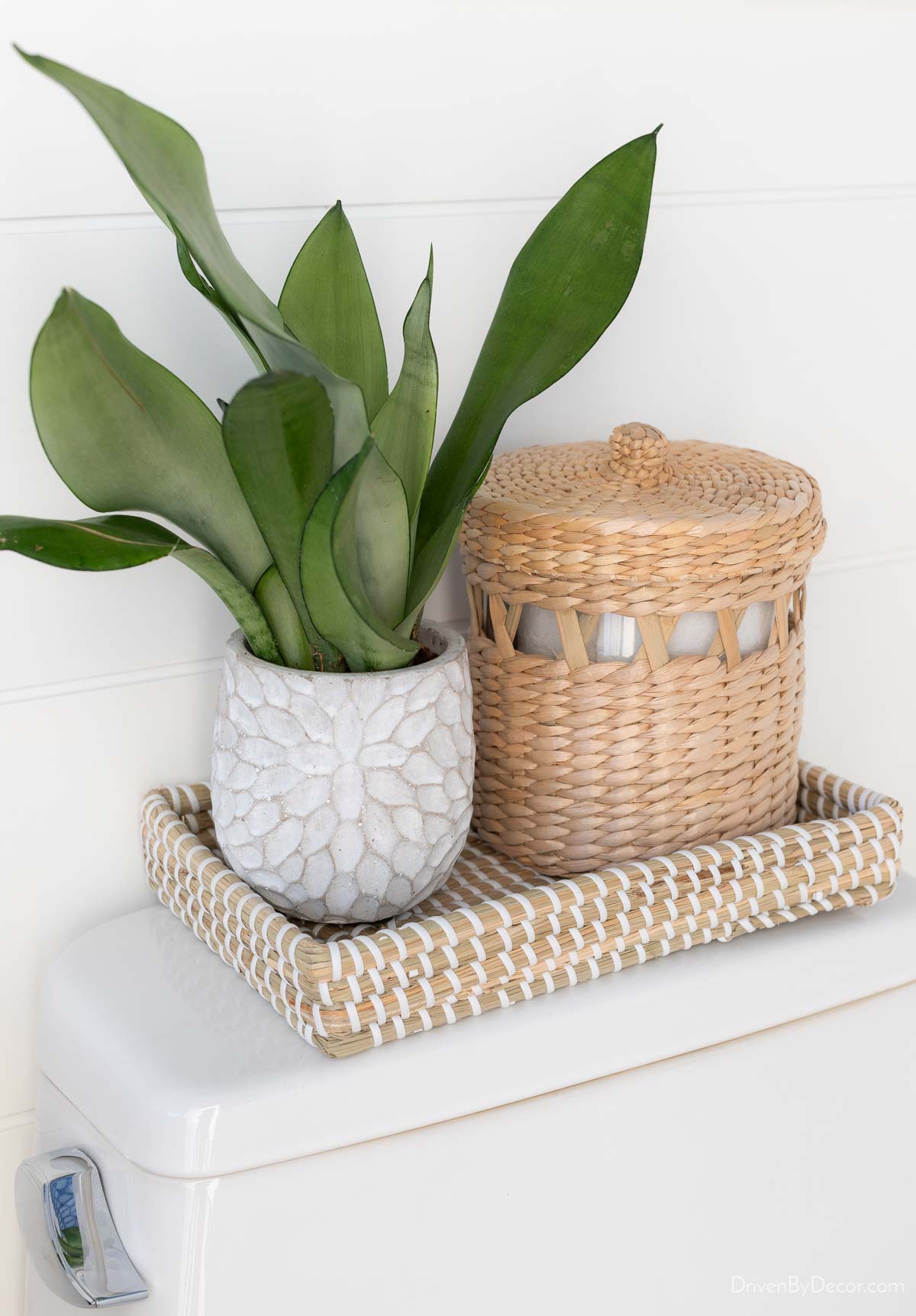 Woven toilet tray with plant and holder on top of toilet