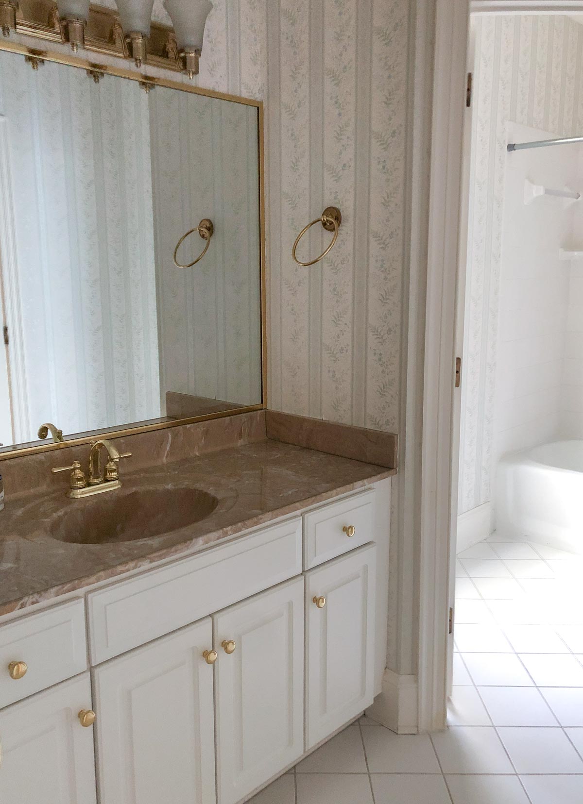 Our girls' bathroom (vanity, large mirror, & vanity light) before remodeling