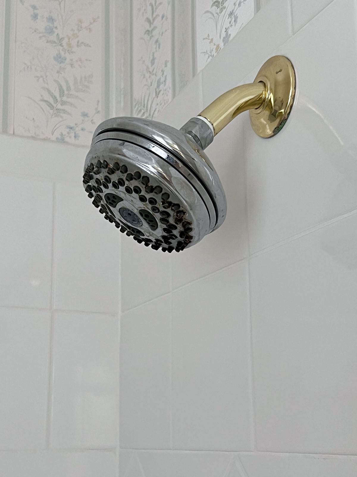 Old shower head - mix of brass and chrome