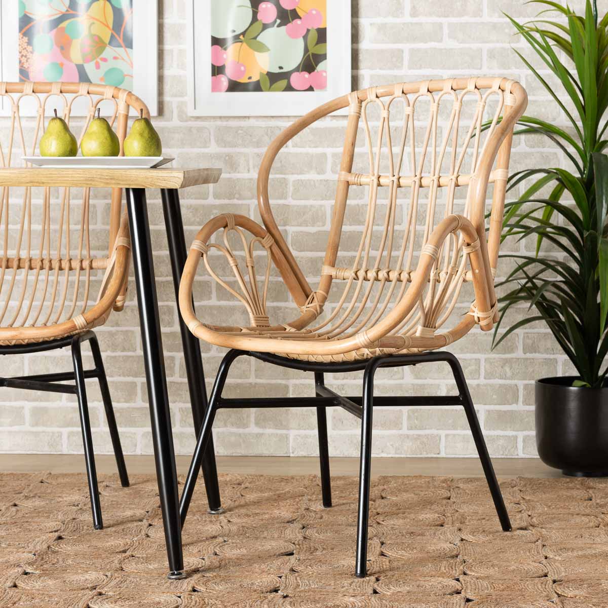 Rattan dining chair with black metal base