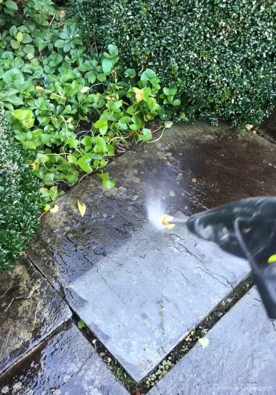 Pressure washing our front walkway