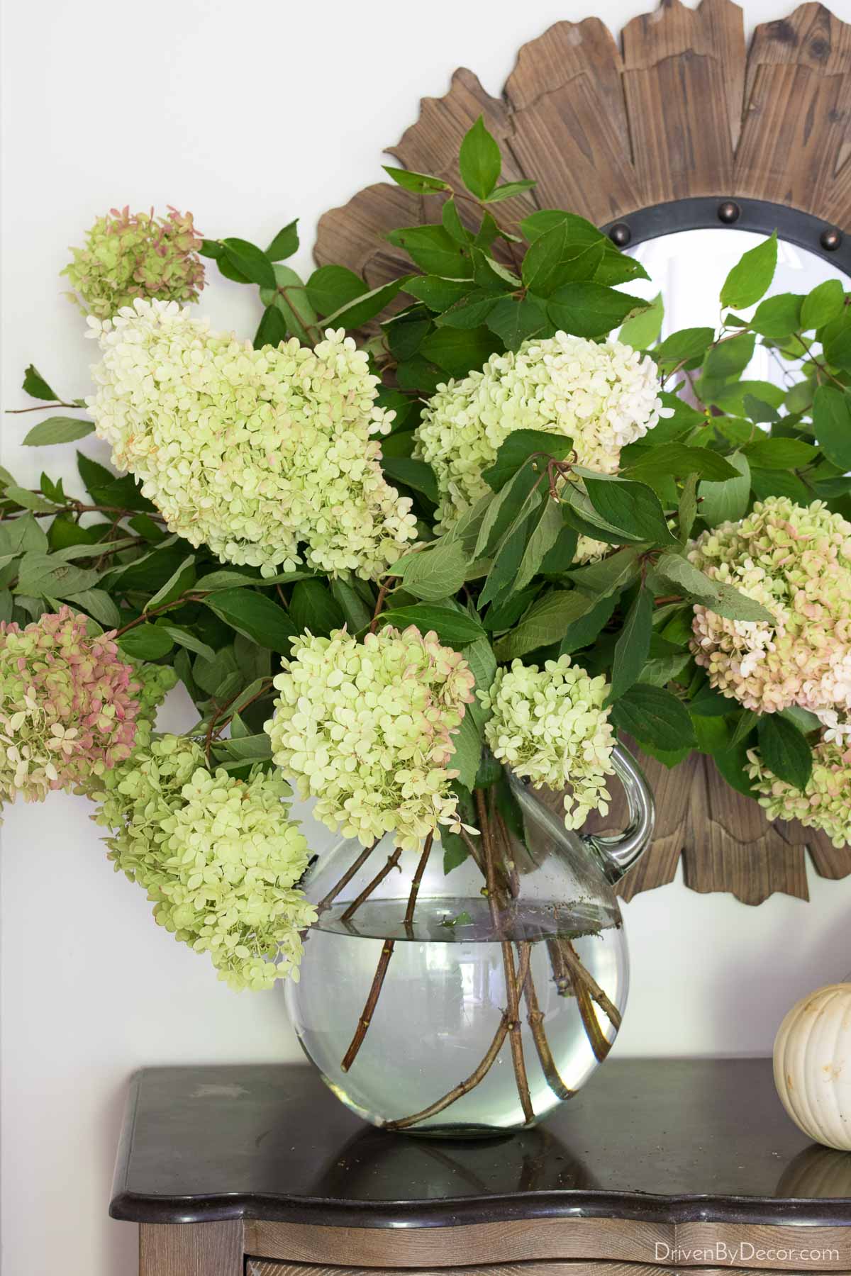 Fall hydrangeas