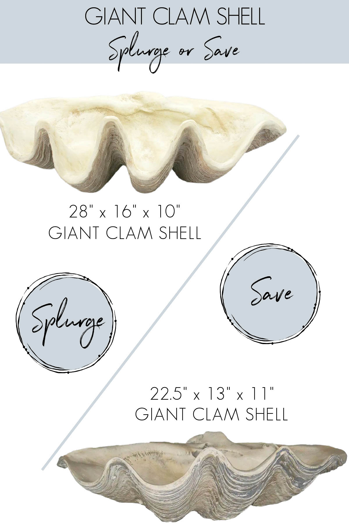 Giant clam shell - designer version and look for less