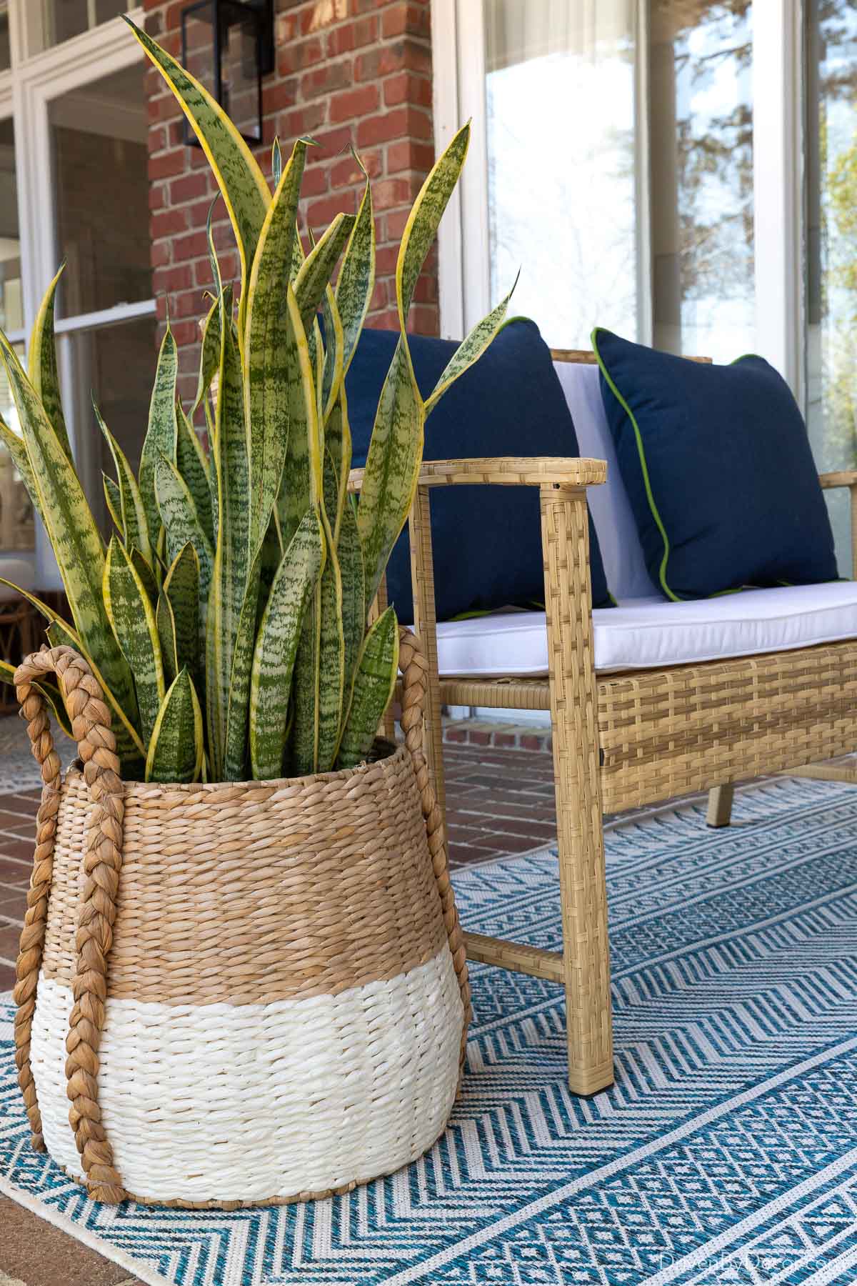 Snake plant in planter on back porch next to woven loveseat