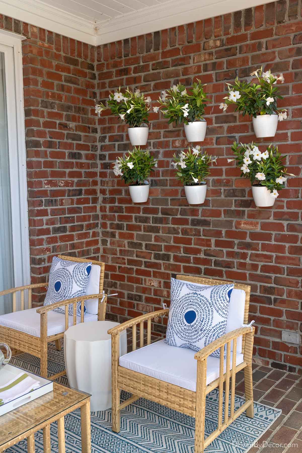 Plants hung on brick wall of back porch