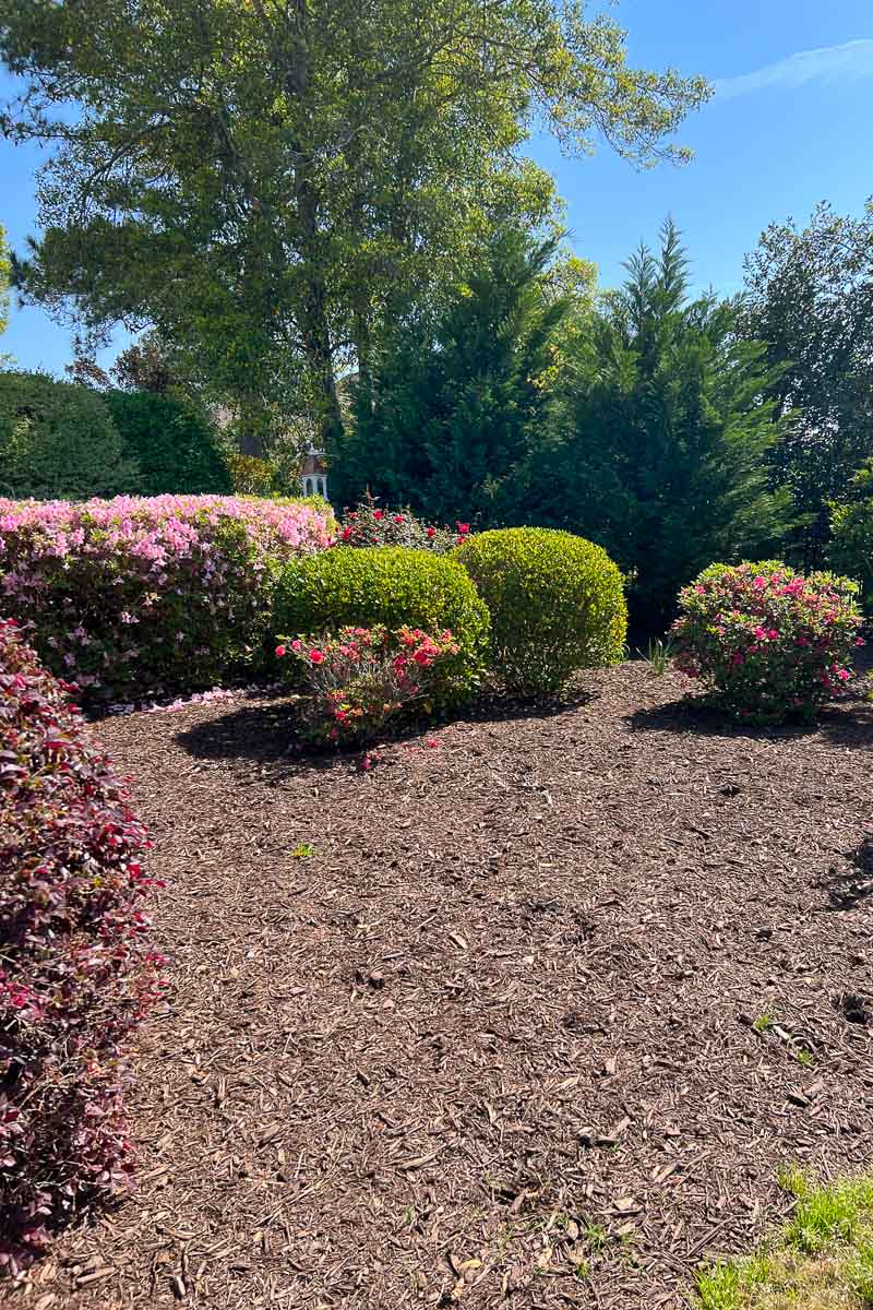 Large open space in mulch bed where raised garden will go