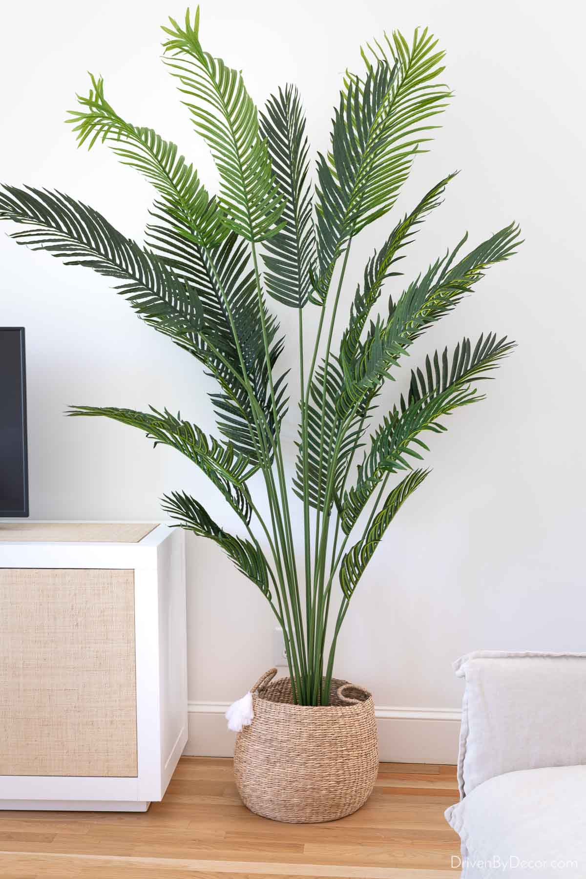 Faux palm tree in basket that looks like the real thing!