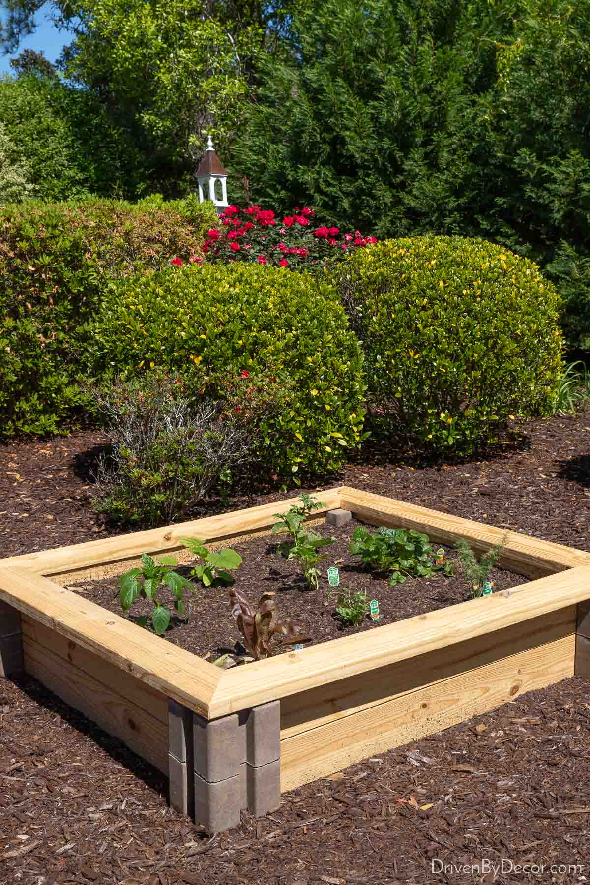 These Bricks Make Building Raised Garden Beds Simple