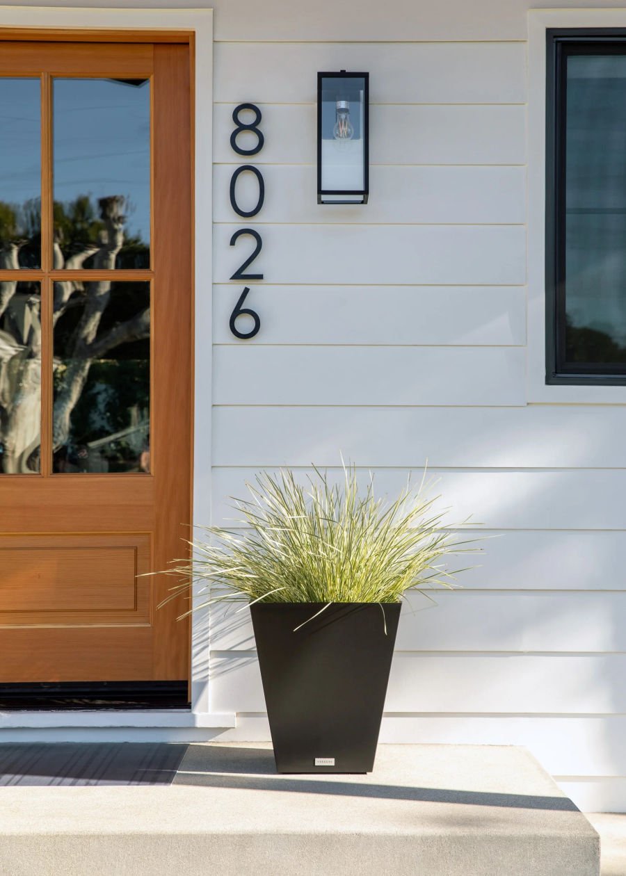 Outdoor planter by door