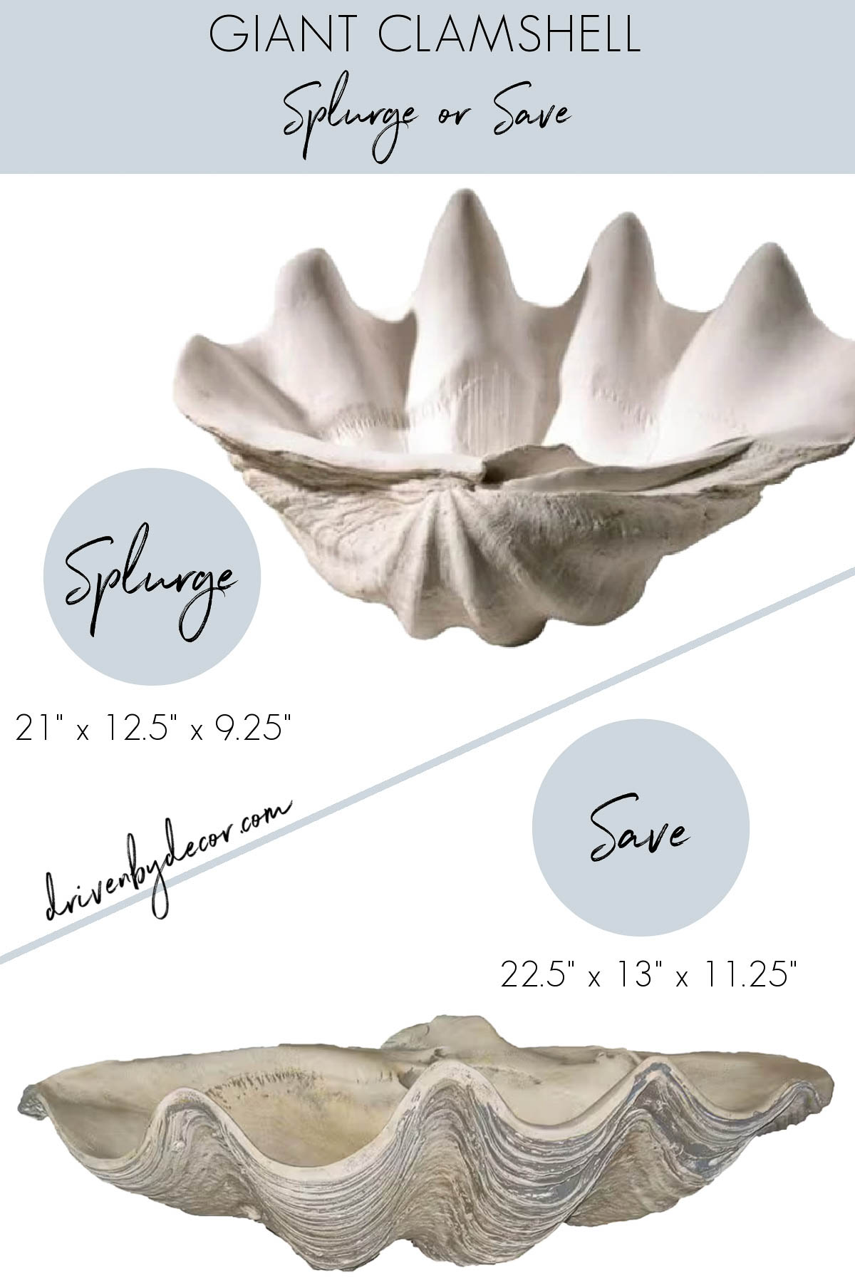 Giant clam shell in both the splurge and look for less save versions