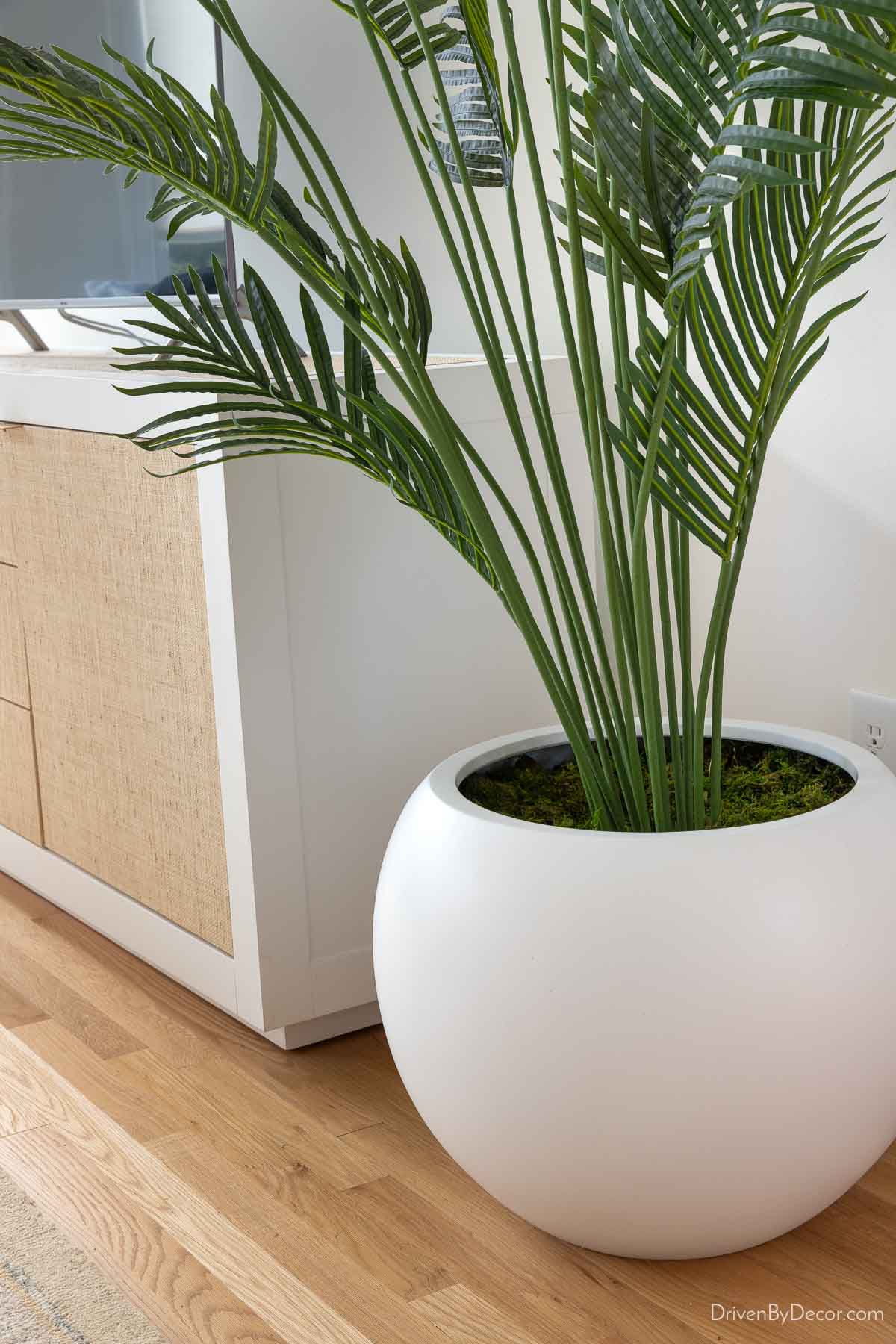 Large round white planter