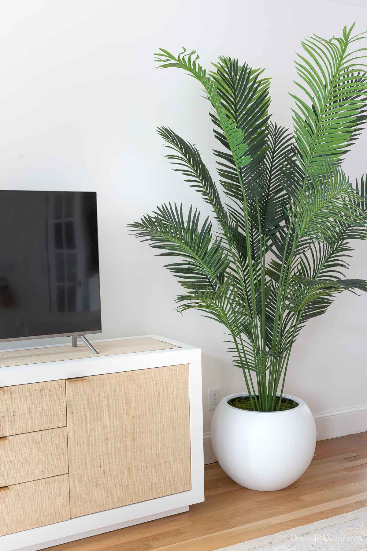 Large round white planter with faux palm tree next to TV console
