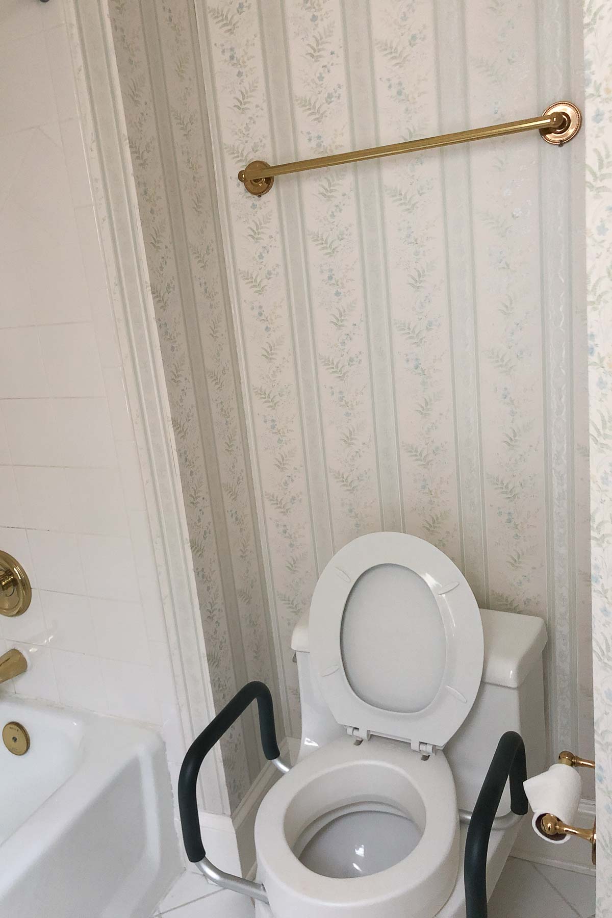 Old toilet before bathroom remodel