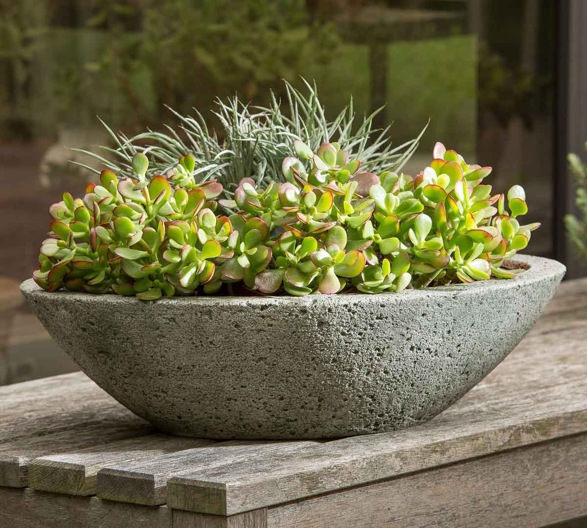Cast stone bowl with succulents that could be used as dining table centerpiece