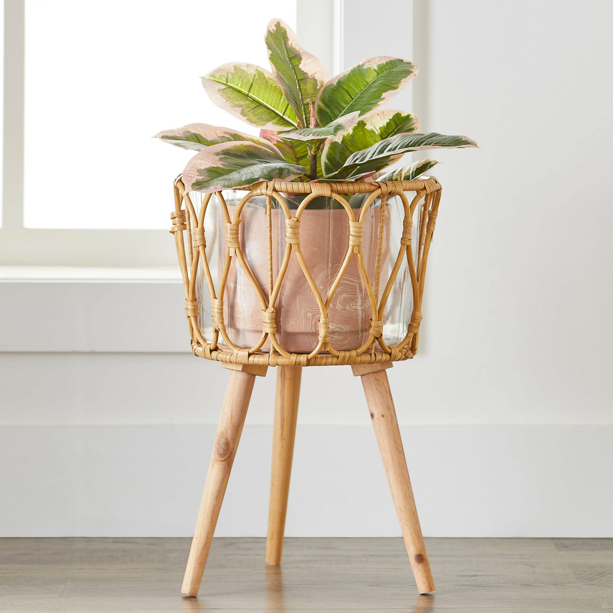 Woven plant stand holding plant