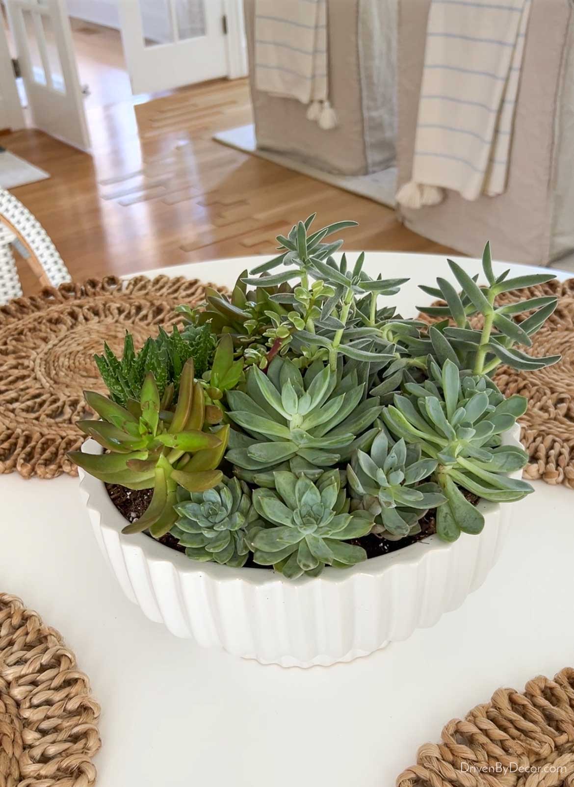 Bowl filled with succulents as table centerpiece