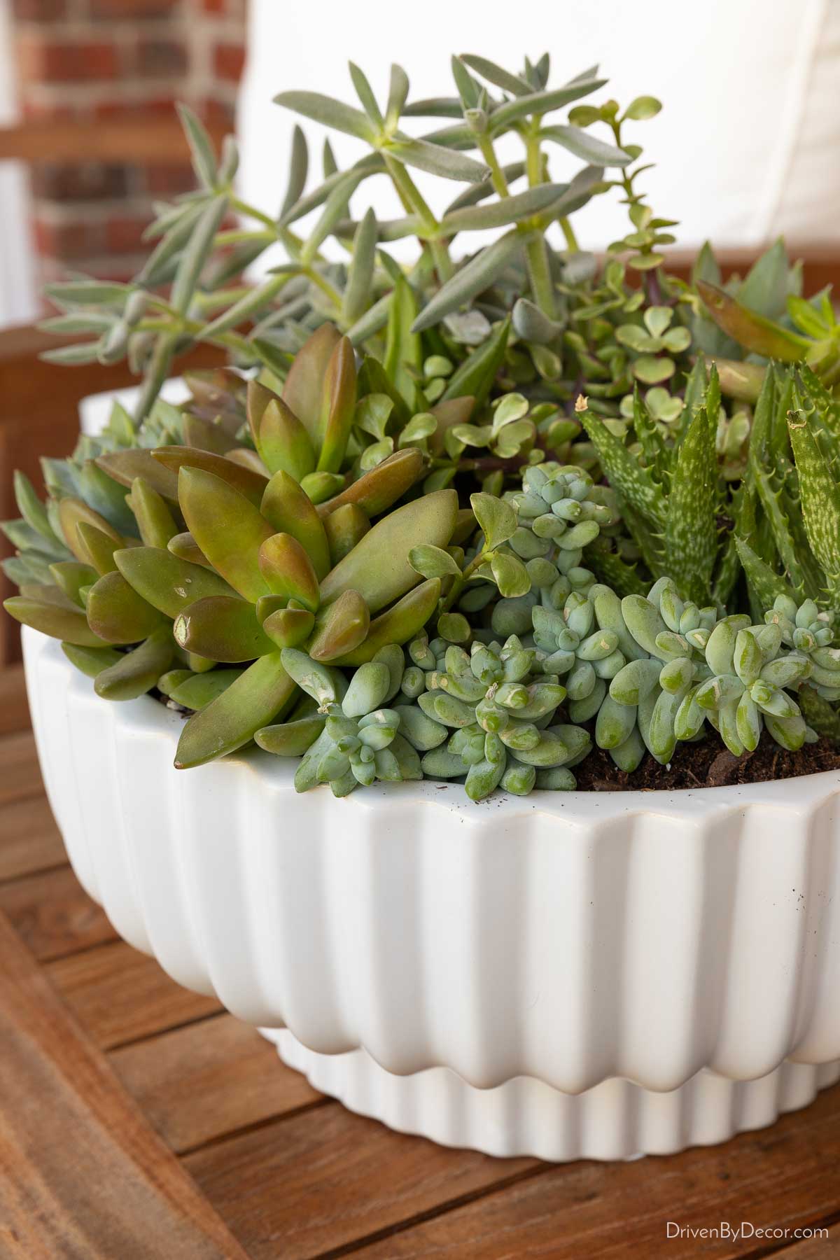 Fluted planter filled with succulents
