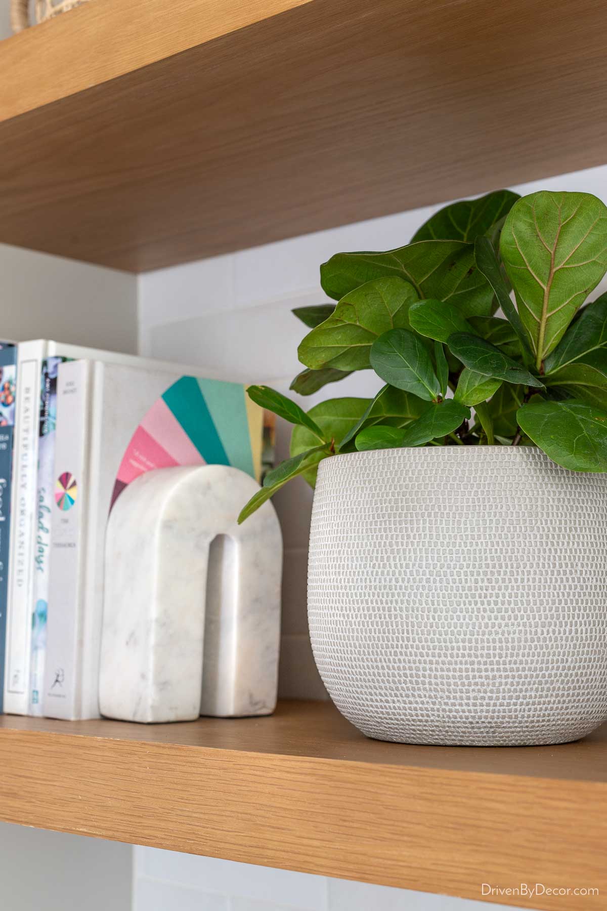 Cookbooks, marble bookend, and planter on shelf of kitchen coffee bar