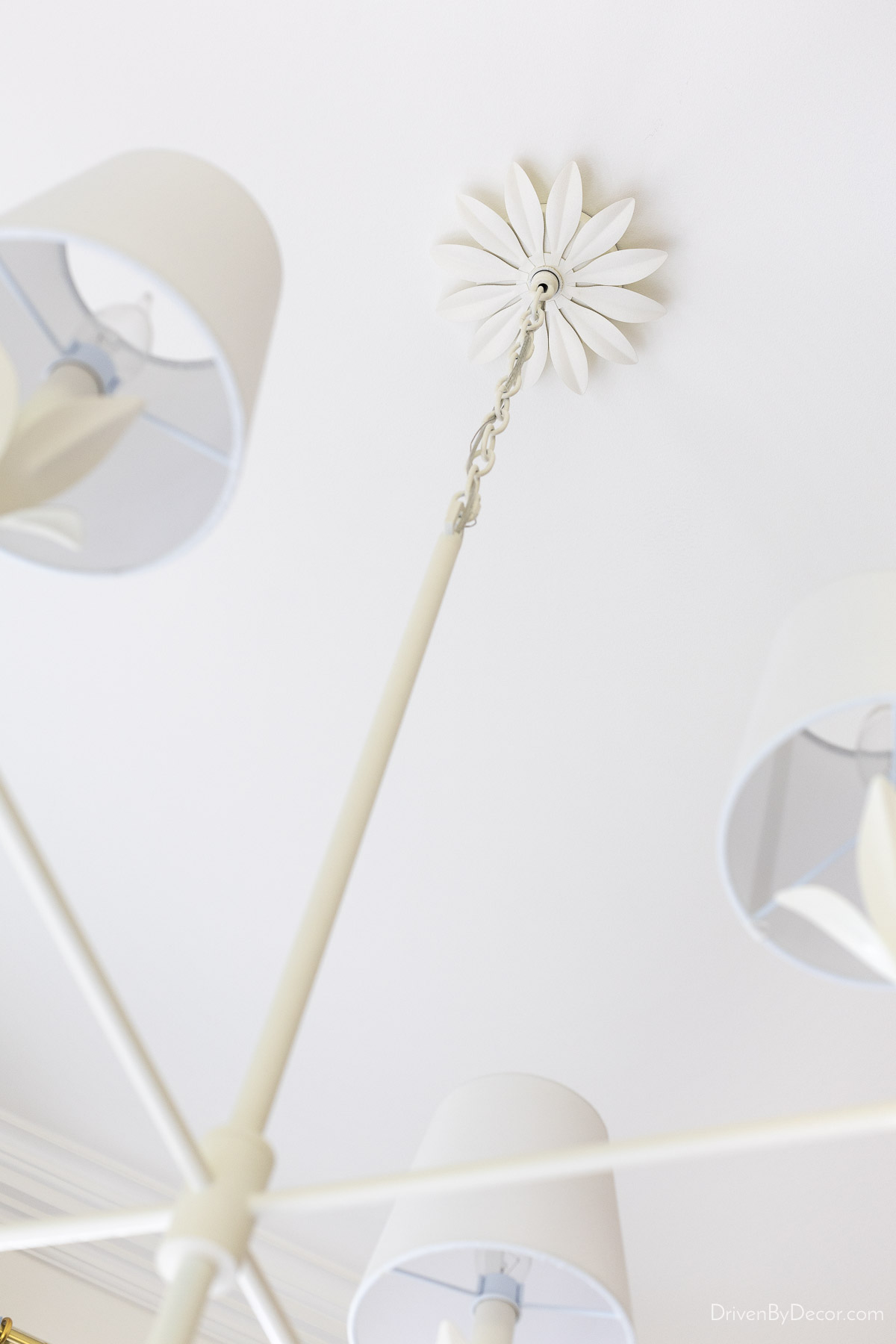 Floral design canopy on matte white chandelier