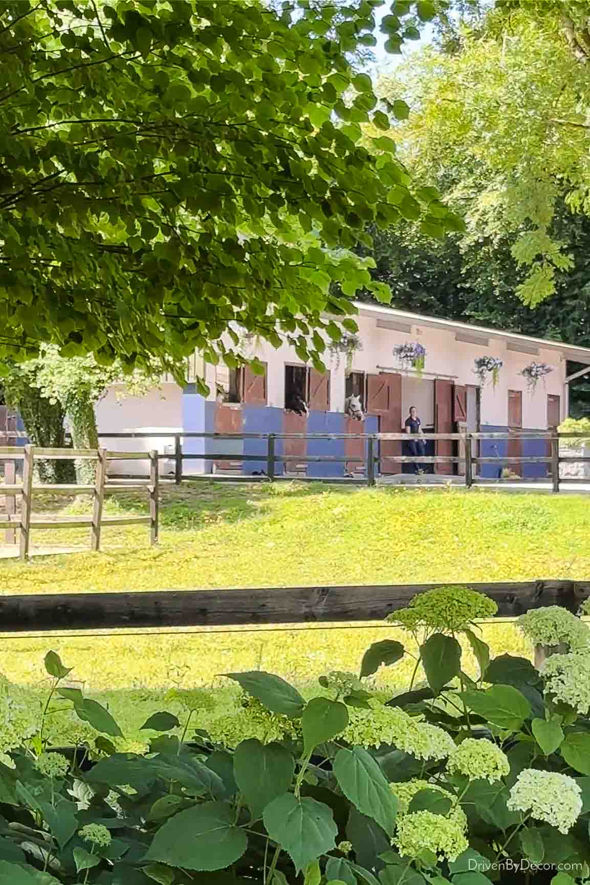 Ashford Castle stables