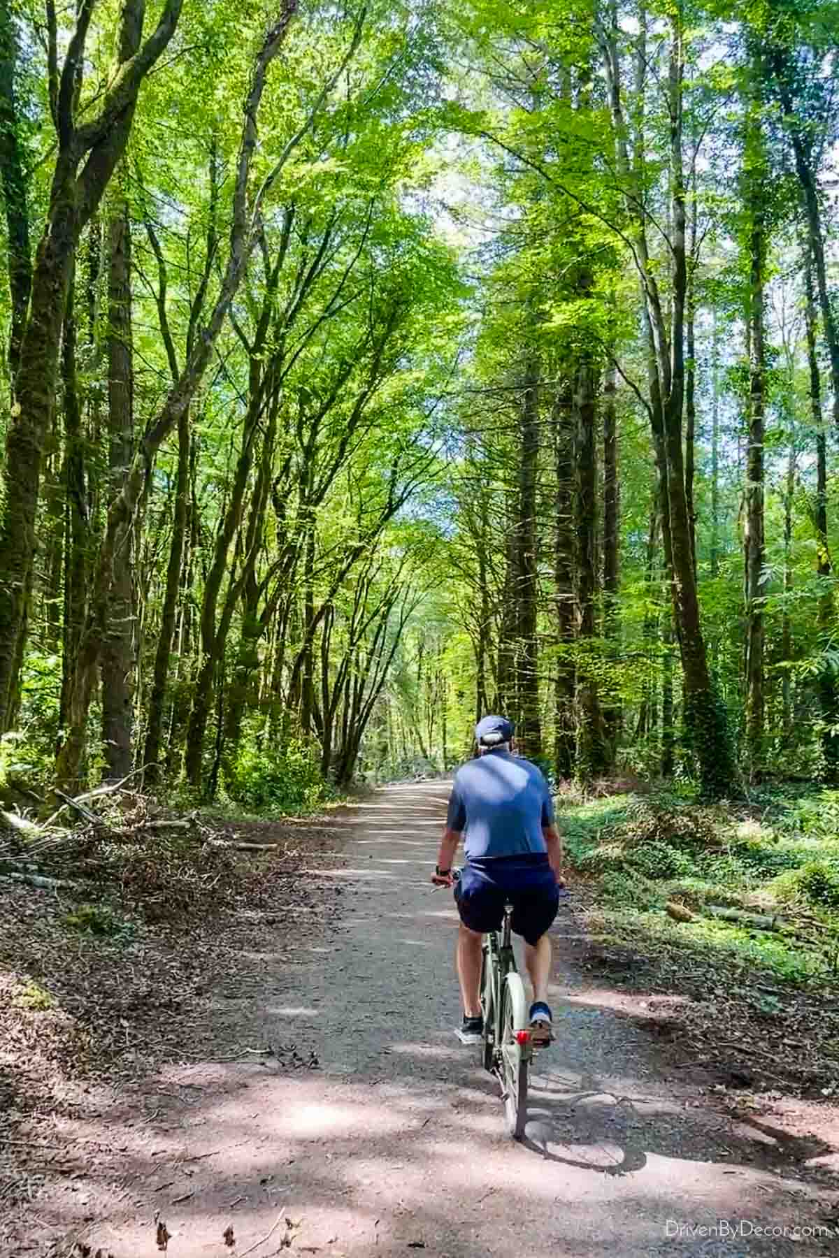 Bike riding at Ashford Castle