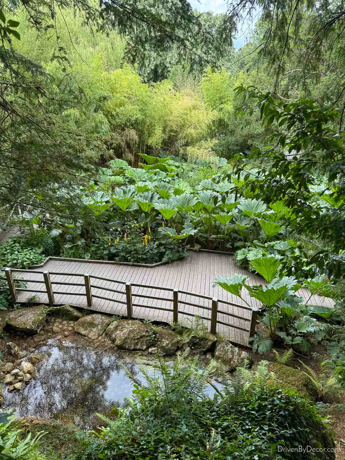 The lush grounds of the Blarney Castle