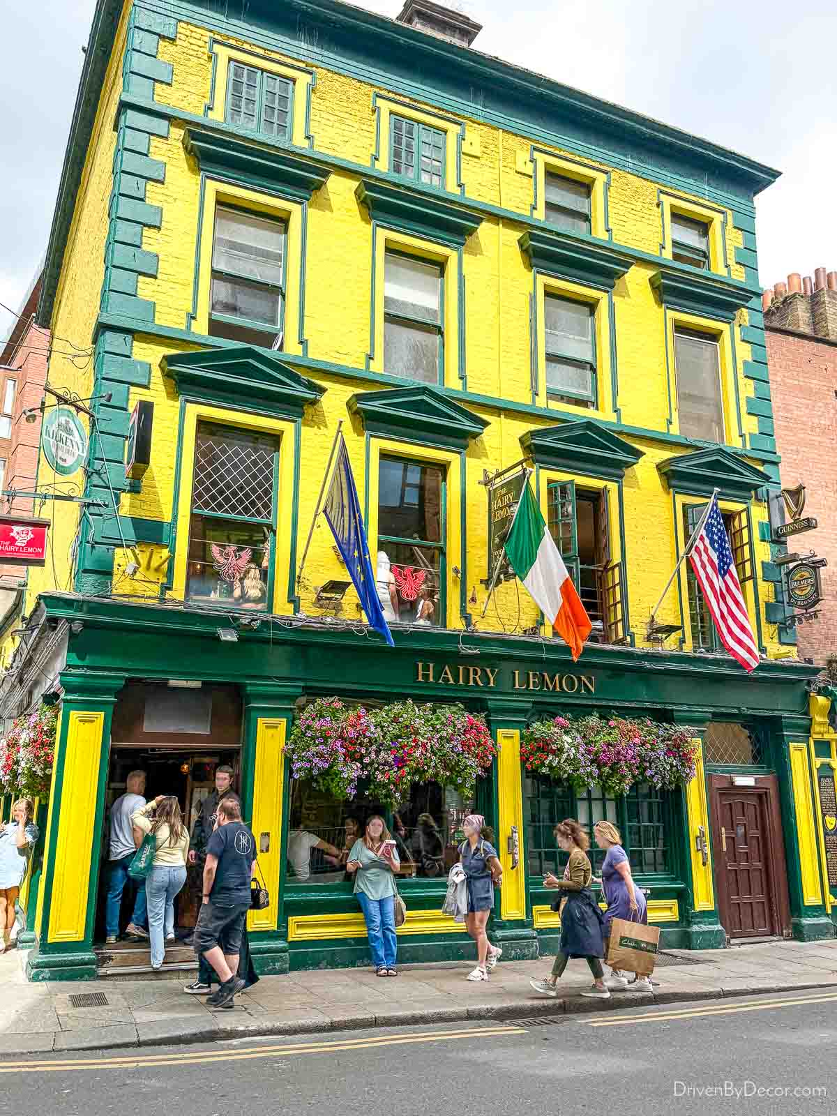 The Hairy Lemon pub in Dublin