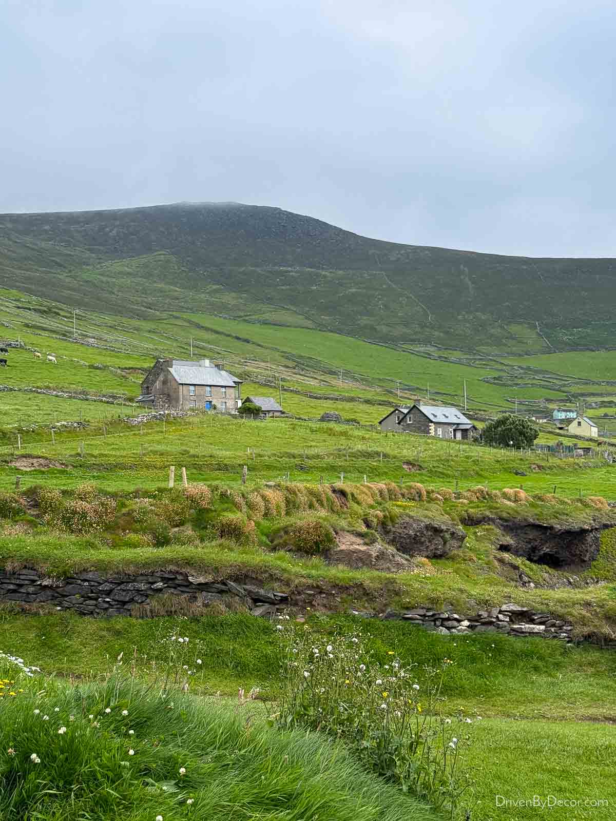 Ireland countryside