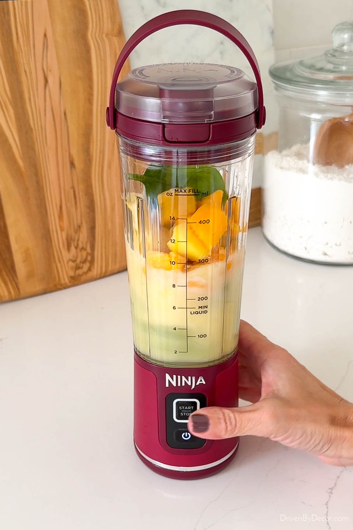 Ninja portable blender