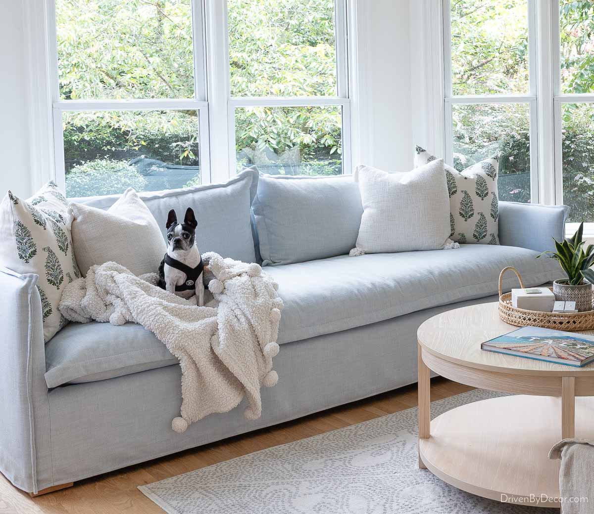 Light blue sofa in sunroom