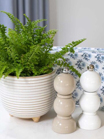 Salt and pepper shakers next to plant on lazy Susan