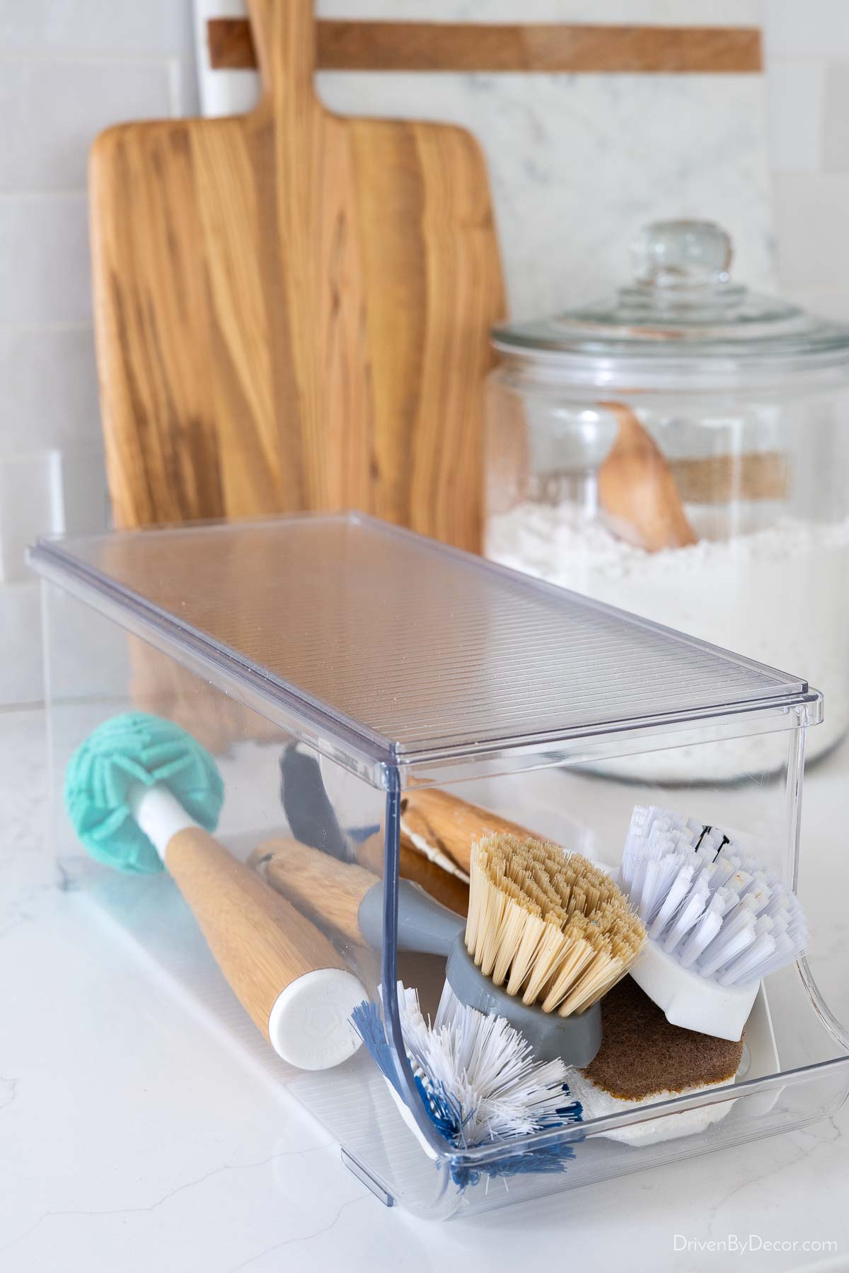 Can organizer holding dish scrubbers